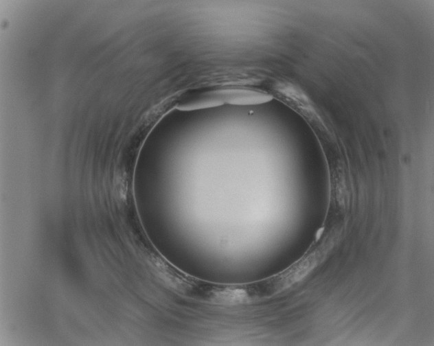 X0000062170374200512161257