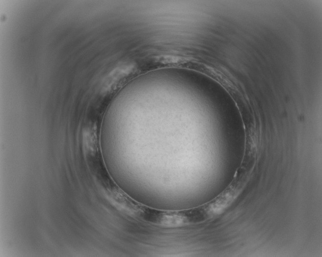 X0000062170376200512161257