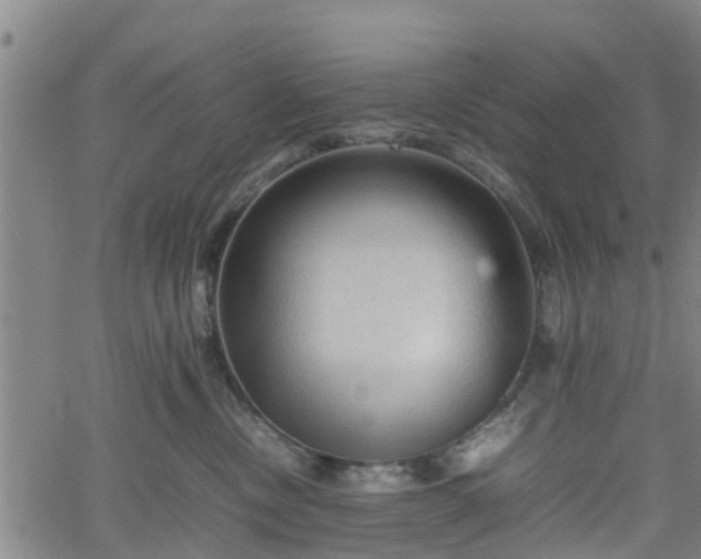 X0000062170378200512161257