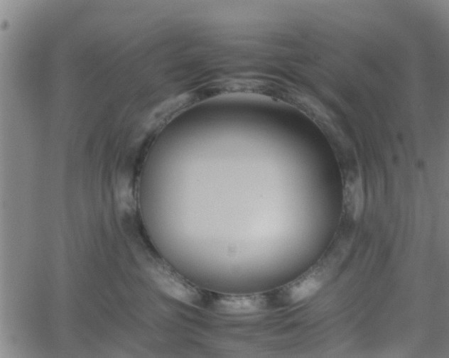 X0000062170381200512161257