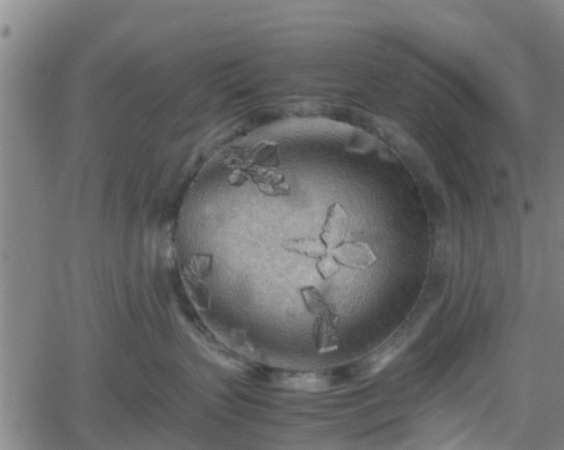 X0000062170383200512161257