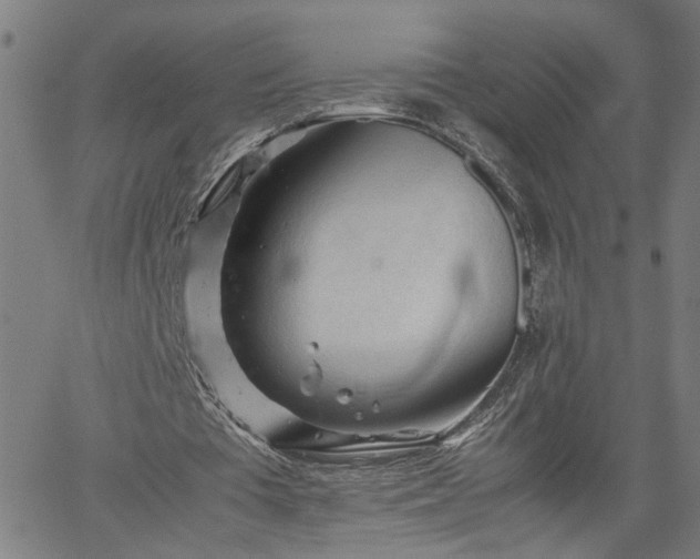 X0000062170385200512161256