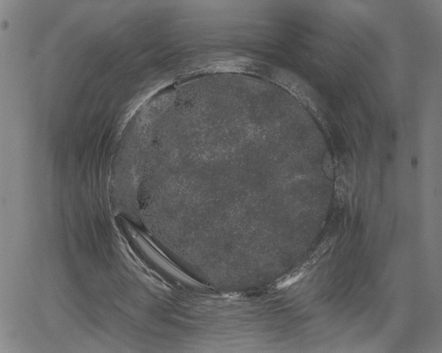 X0000062170386200512161256