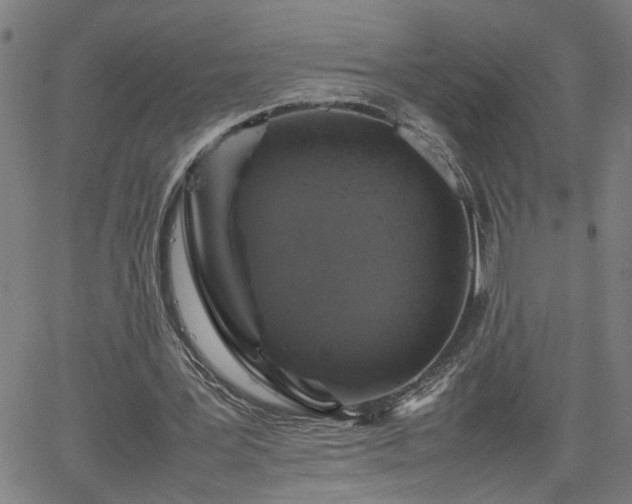 X0000062170387200512161256