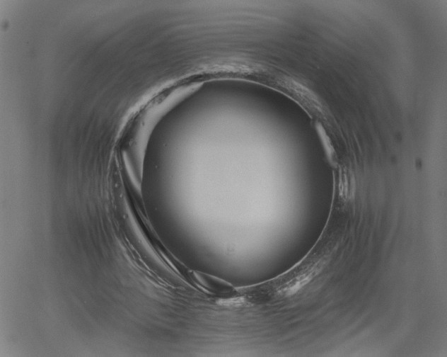 X0000062170388200512161256