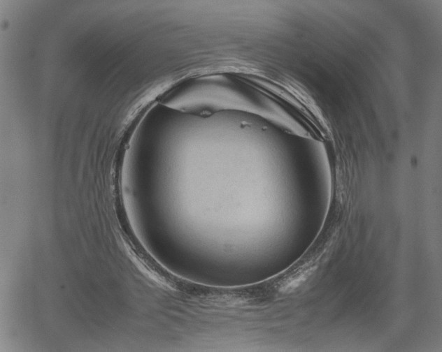 X0000062170389200512161256