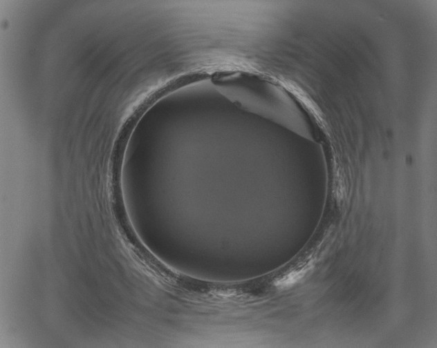 X0000062170391200512161256