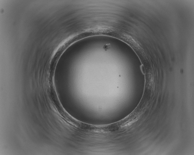 X0000062170392200512161256