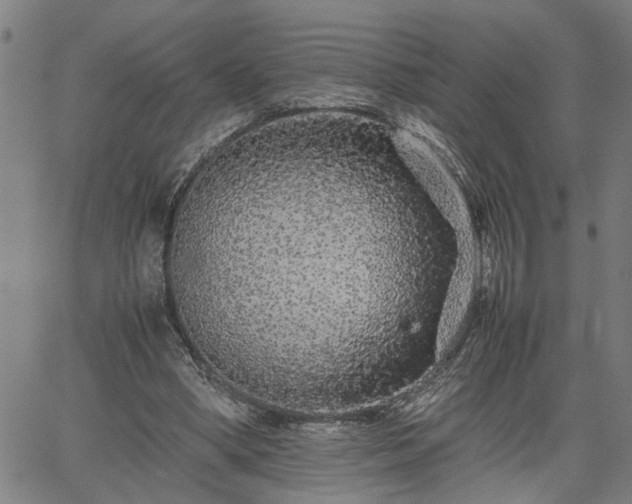 X0000062170394200512161256