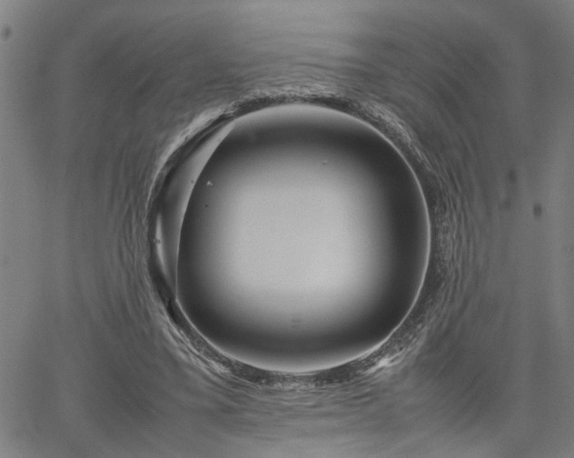 X0000062170395200512161256