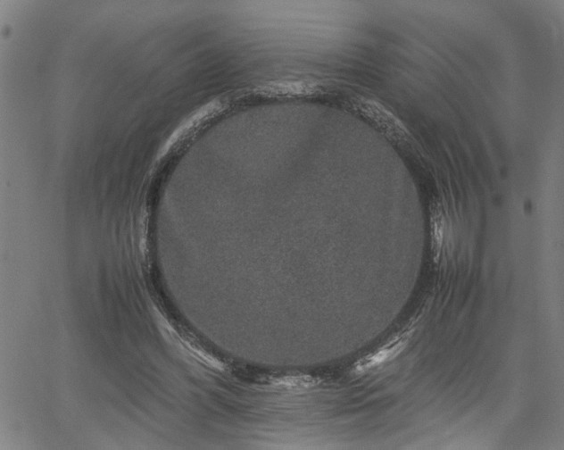 X0000062170396200512161256