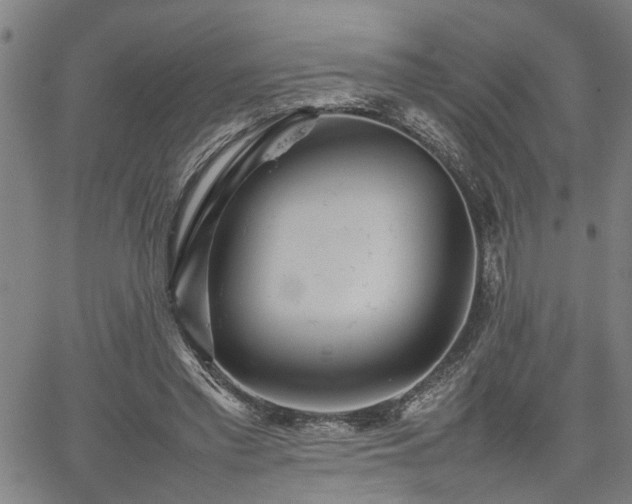 X0000062170397200512161256