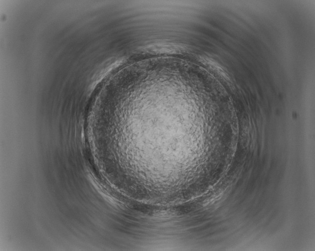 X0000062170398200512161256