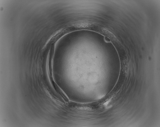 X0000062170400200512161256