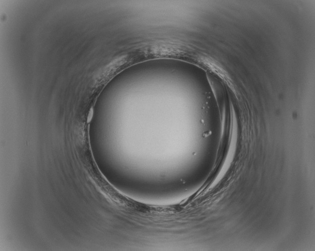 X0000062170401200512161256