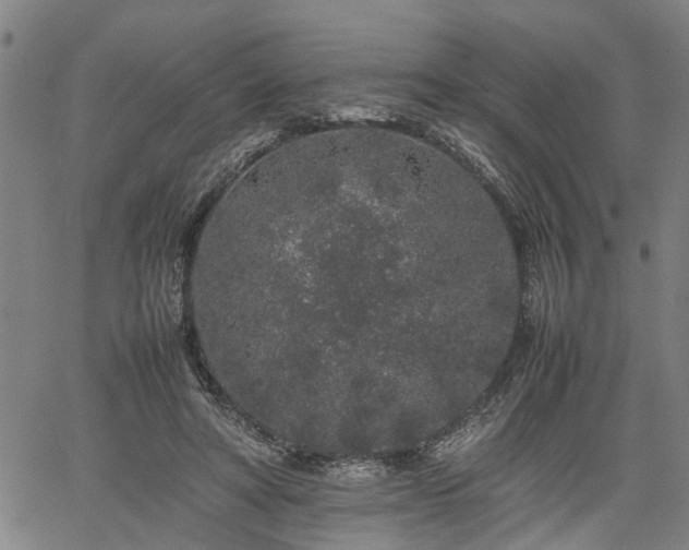 X0000062170402200512161256