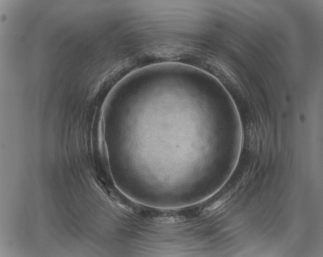 X0000062170404200512161256