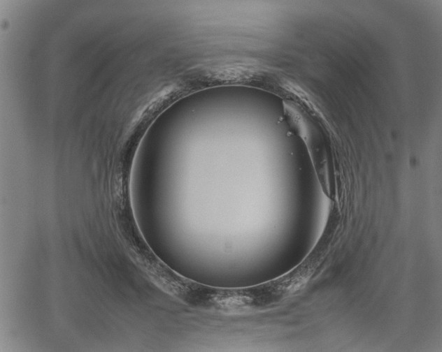 X0000062170407200512161256