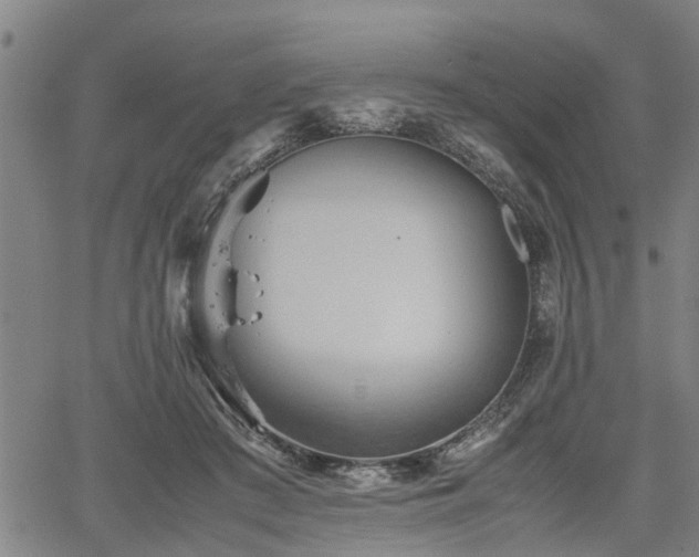 X0000062170409200512161256