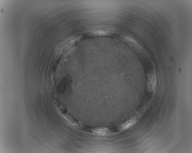 X0000062170410200512161256