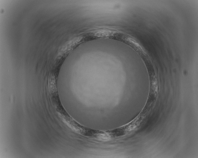 X0000062170411200512161256