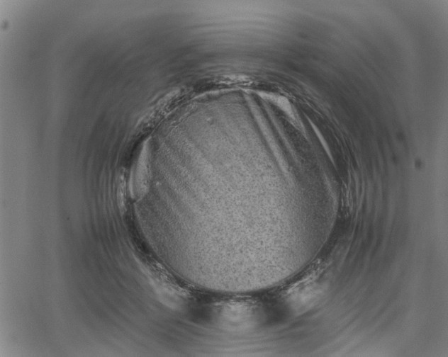 X0000062170412200512161256