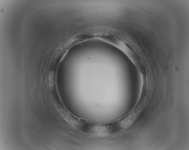 X0000062170413200512161256