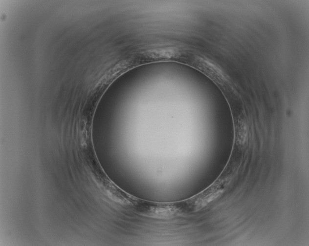 X0000062170414200512161256