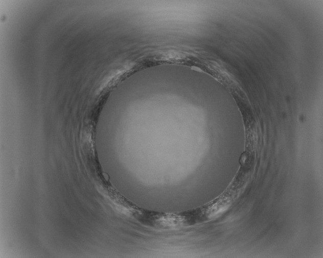 X0000062170415200512161256