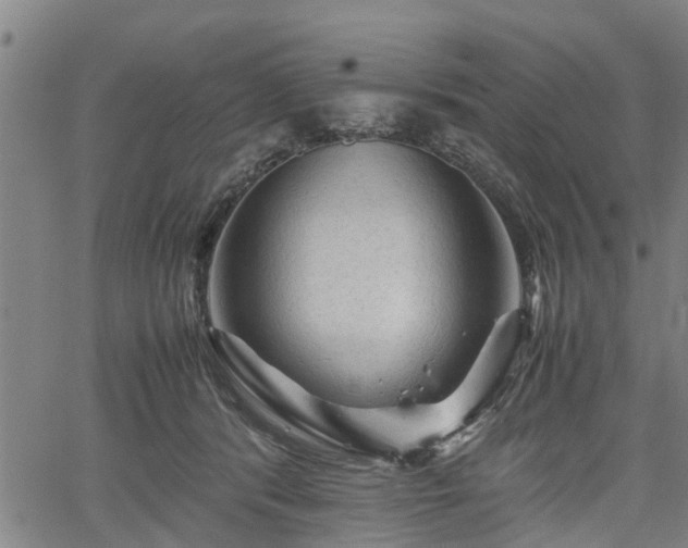 X0000062170416200512161256