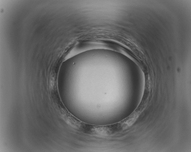 X0000062170417200512161256