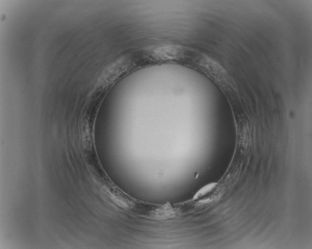 X0000062170418200512161256