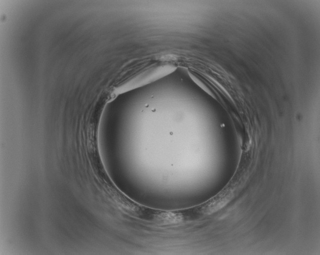 X0000062170421200512161256