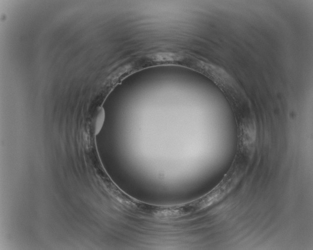 X0000062170422200512161256