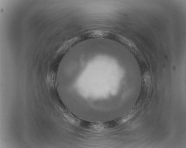 X0000062170423200512161256