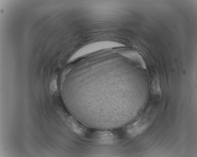 X0000062170424200512161256