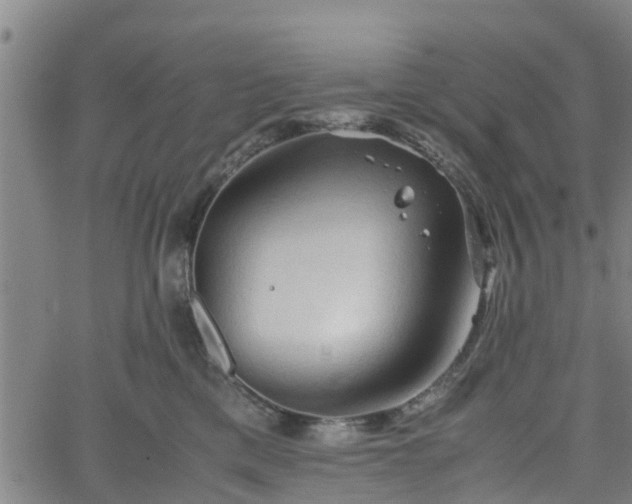 X0000062170425200512161256