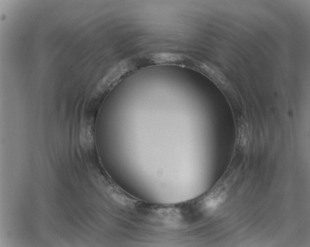 X0000062170426200512161256