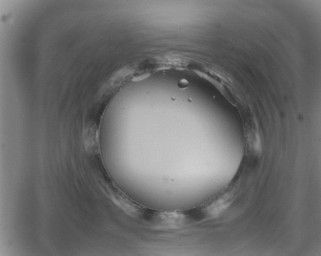 X0000062170429200512161256