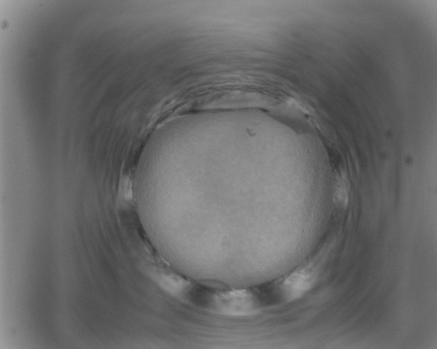 X0000062170431200512161256