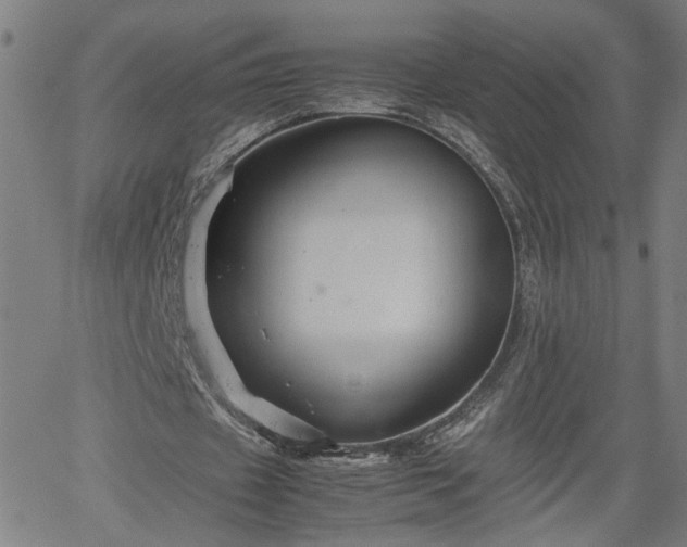 X0000062170433200512161255