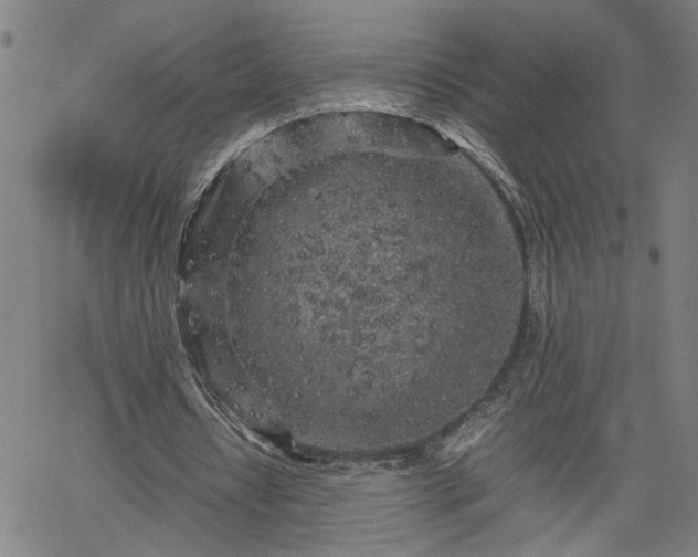 X0000062170434200512161255