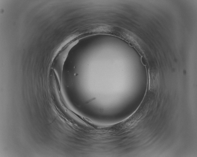 X0000062170435200512161255