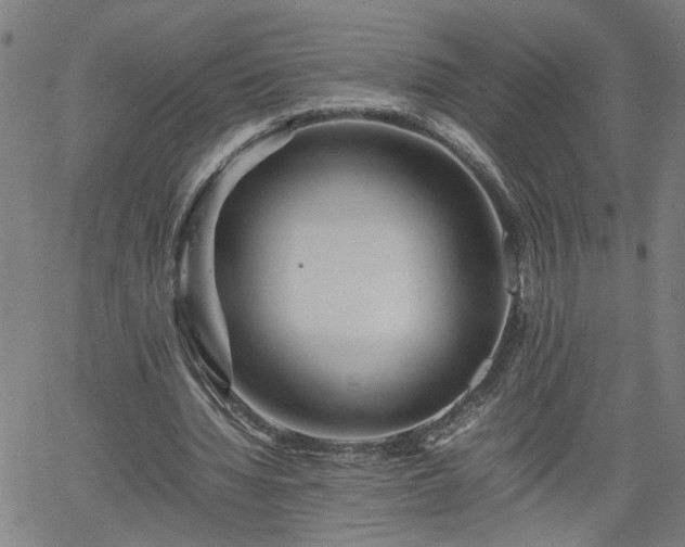 X0000062170436200512161255