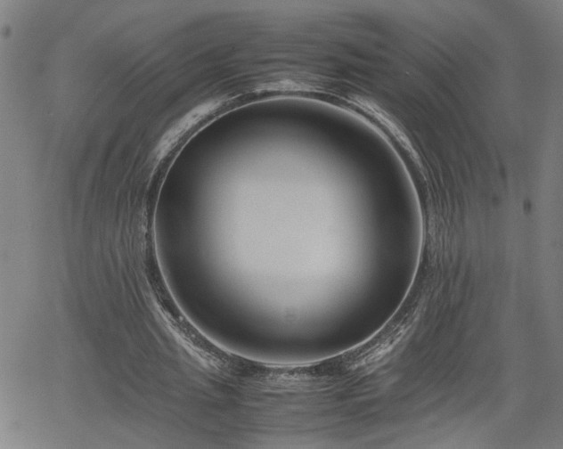 X0000062170437200512161255