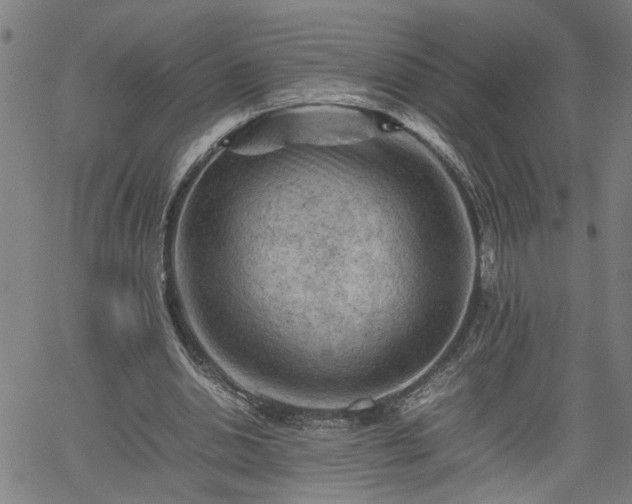 X0000062170438200512161255