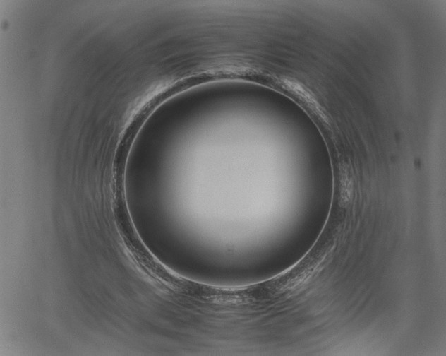 X0000062170439200512161255