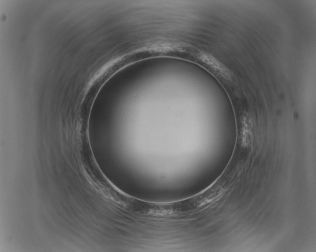 X0000062170440200512161255