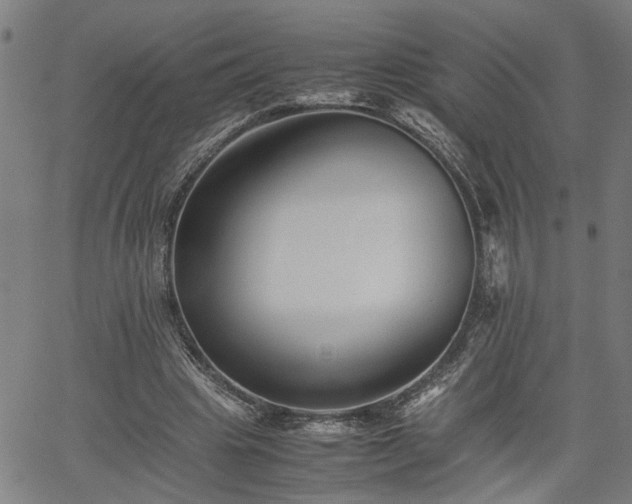 X0000062170441200512161255