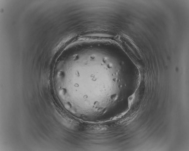 X0000062170443200512161255